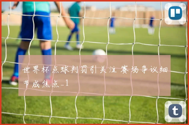 世界杯点球判罚引关注 赛场争议细节成焦点_1
