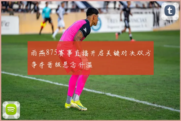 雨燕875赛事直播开启关键对决双方争夺晋级悬念升温