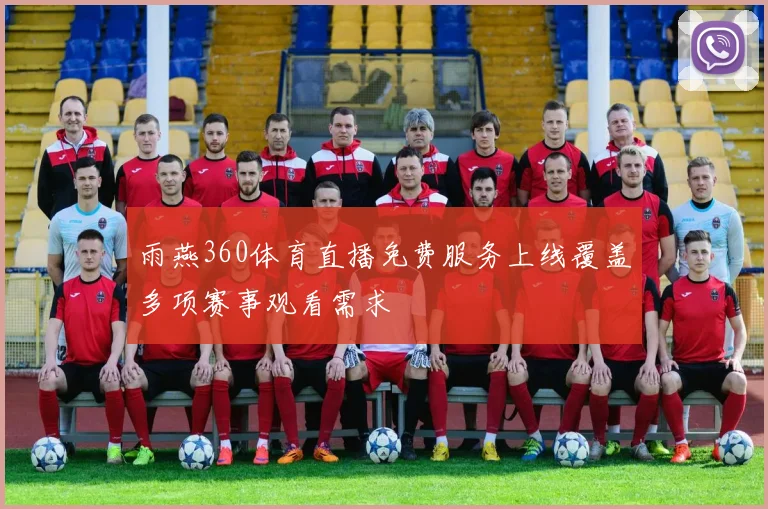 雨燕360体育直播免费服务上线覆盖多项赛事观看需求